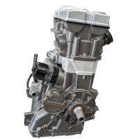 2013-2014 Polaris RZR 900 Engine